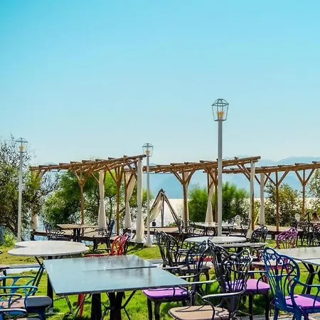 Hotel Lucky Monkey Antalya