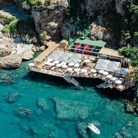 Lucky Monkey Antalya