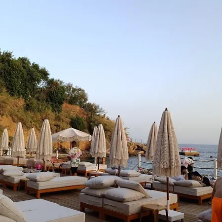 Lucky Monkey Antalya
